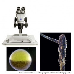 Microscope MBL2000 (40 x 1000x)