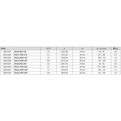 Pompes submersibles 12/24V RULE