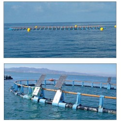 Systèmes de cages offshore SPYA