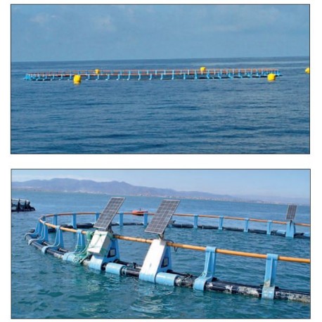 Systèmes de cages offshore SPYA