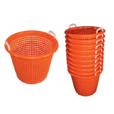 Paniers à poissons BV