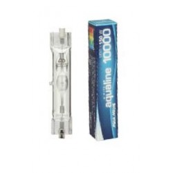Ampoules HQI