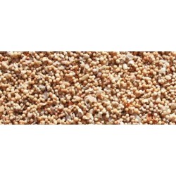 Sable de corail