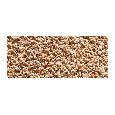 Sable de corail