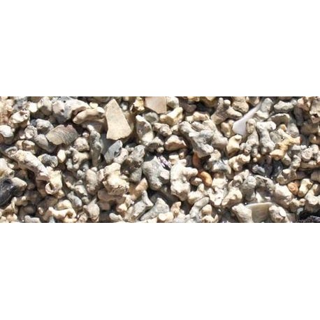 Lithothamne