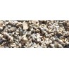 Sable de corail