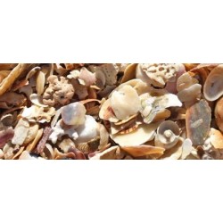 Sable de corail