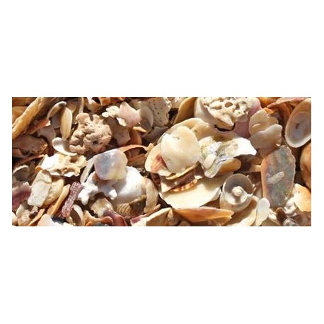 Sable de corail