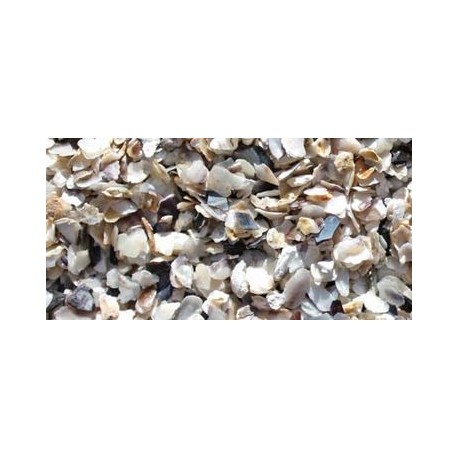 Sable de corail
