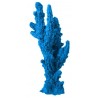 Petit corail