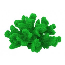 Petit corail