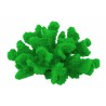 Petit corail