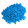 Corail moyen Acropora Cytherea