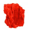 Petit corail