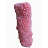 Petit corail