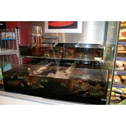Gamme sur mesure pour les restaurants