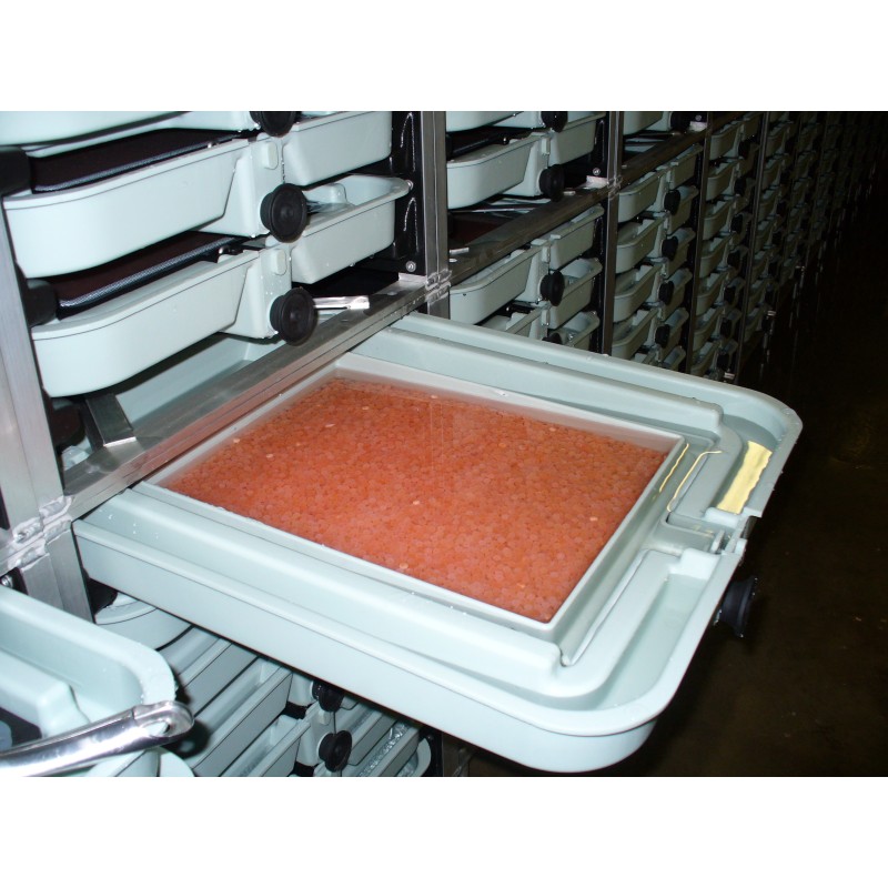 Incubadoras verticales aquaculturefrance