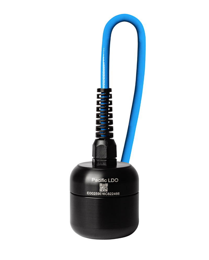 Sonde oxygène optique Oxyguard