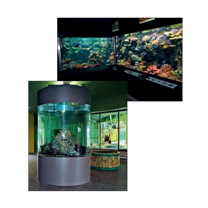 Aquariums de présentation