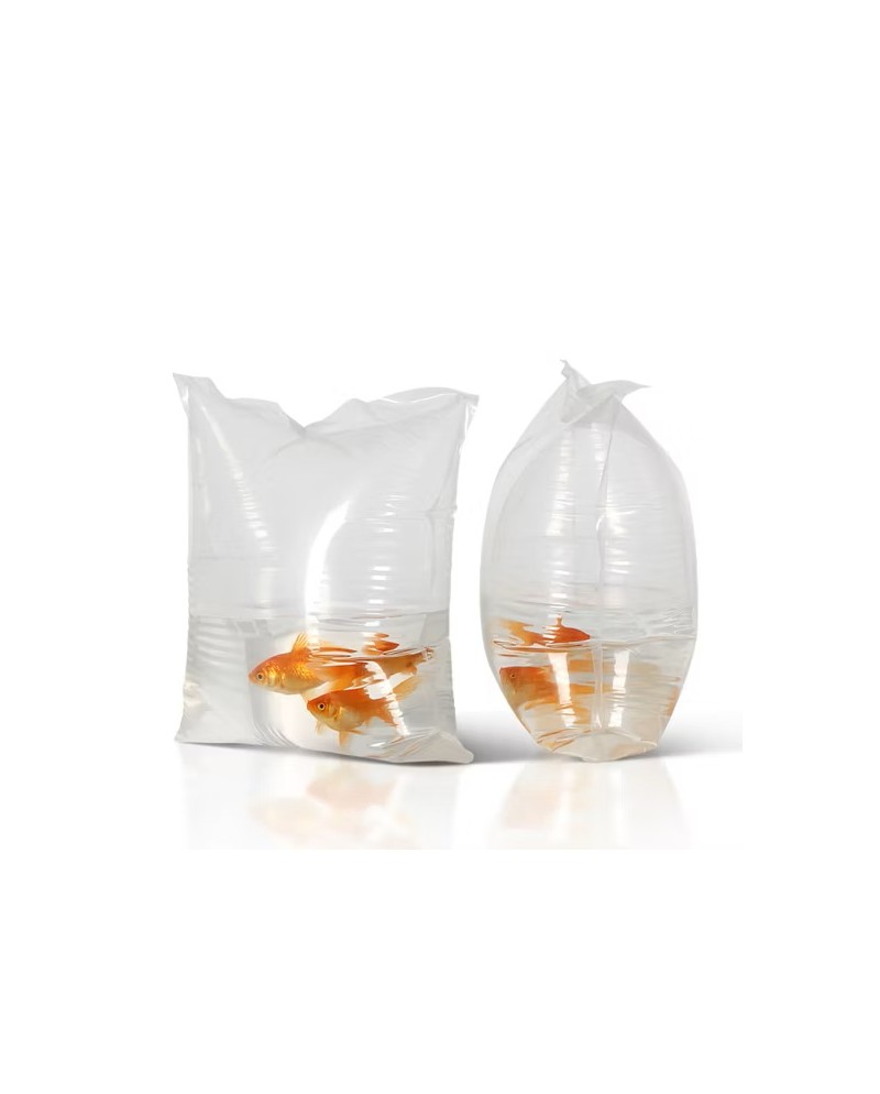 fish transport bag aquaculture france