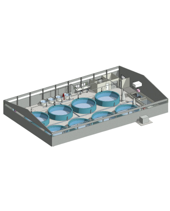 Bureau d’études – Aquaculture en circuit fermé (RAS)