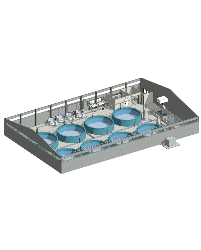 Bureau d’études – Aquaculture en circuit fermé (RAS)