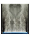 DY Ceramic diffusers for pure oxygen aquaculture france