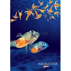 aquaculture france catalogar