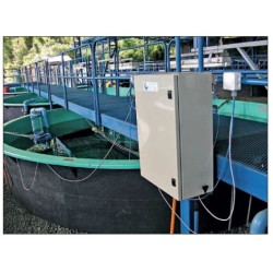 Nourrisseur ARVO-TEC TD2000