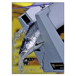 Los contadores de peces BIOSCANNER