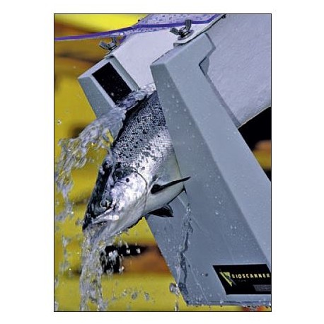 Compteurs à poissons BIOSCANNER