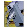 Compteurs à poissons BIOSCANNER