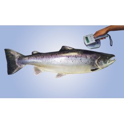 Système de marquage  à poissons EURO 1000