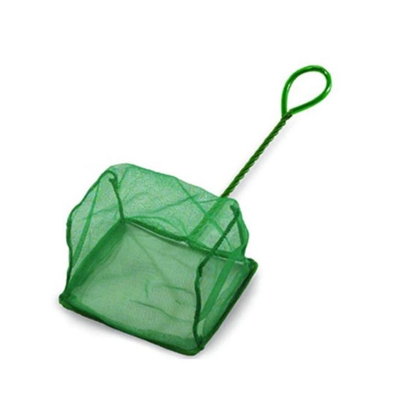 Epuisettes pour aquarium, standard