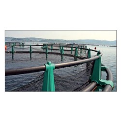 Filets AQ pour cages cubiques