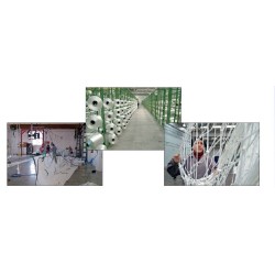 Filets NeXt (HPPE Hight Performance Polyethylene)