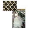Filets NeXt (HPPE Hight Performance Polyethylene)